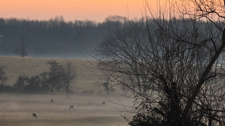 Horse Farm or Cattle Ranch on 50 Acres with all Brick Home - image 49