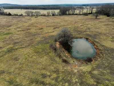 Horse Farm or Cattle Ranch on 50 Acres with all Brick Home - image 46