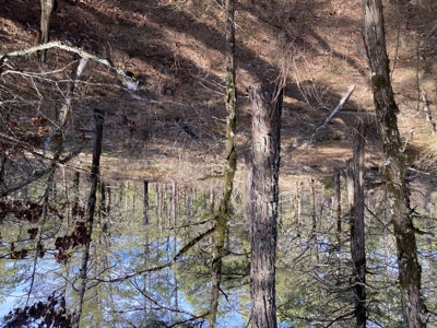 Land For Sale In North Central Arkansas - image 6