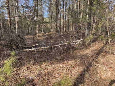 Land For Sale In North Central Arkansas - image 5