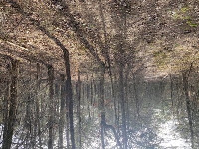 Land For Sale In North Central Arkansas - image 2