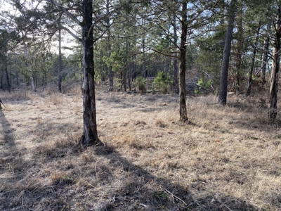 Land For Sale In North Central Arkansas - image 3