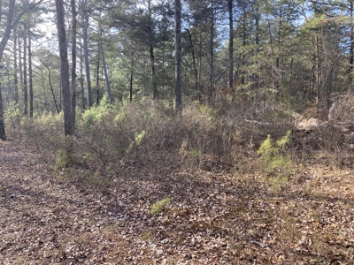 Land For Sale In North Central Arkansas - image 4