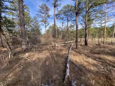 Land For Sale In North Central Arkansas - image 1