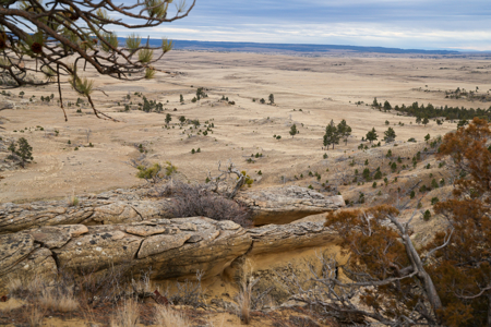 Montana Cattle & Recreational Ranch - image 39