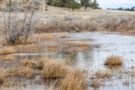 Montana Cattle & Recreational Ranch - image 22