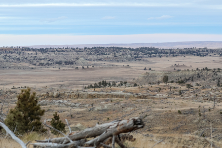 Montana Cattle & Recreational Ranch - image 23