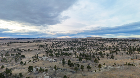 Montana Cattle & Recreational Ranch - image 6