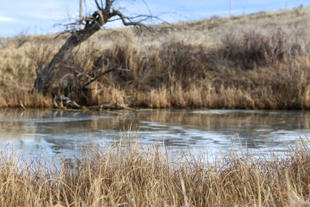 Montana Cattle & Recreational Ranch - image 48