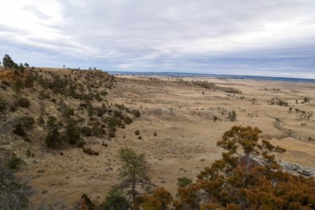 Montana Cattle & Recreational Ranch - image 16