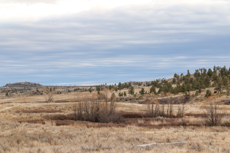 Montana Cattle & Recreational Ranch - image 14