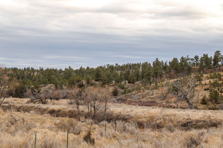 Montana Cattle & Recreational Ranch - image 19