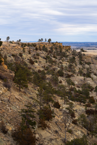 Montana Cattle & Recreational Ranch - image 33