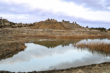 Montana Cattle & Recreational Ranch - image 29
