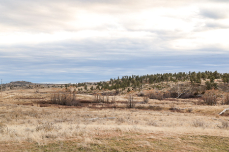 Montana Cattle & Recreational Ranch - image 31