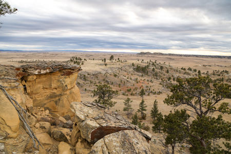 Montana Cattle & Recreational Ranch - image 10