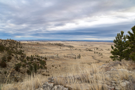 Montana Cattle & Recreational Ranch - image 9