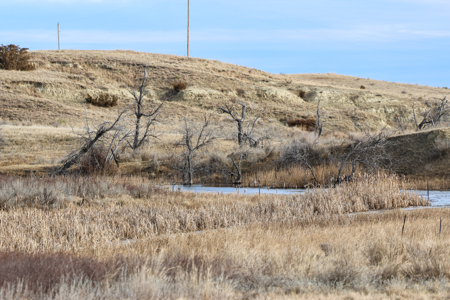Montana Cattle & Recreational Ranch - image 18