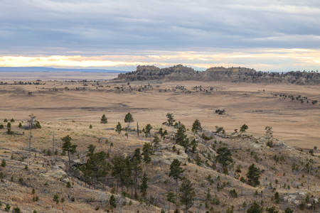 Montana Cattle & Recreational Ranch - image 35