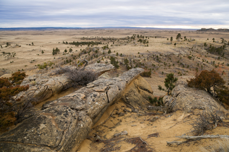 Montana Cattle & Recreational Ranch - image 25