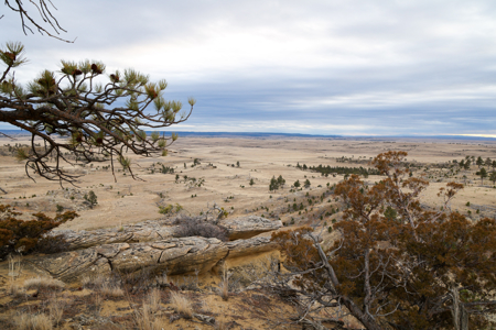 Montana Cattle & Recreational Ranch - image 7