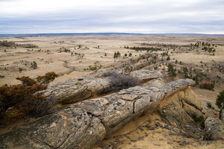 Montana Cattle & Recreational Ranch - image 11