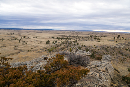 Montana Cattle & Recreational Ranch - image 2