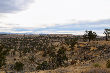 Montana Cattle & Recreational Ranch - image 36