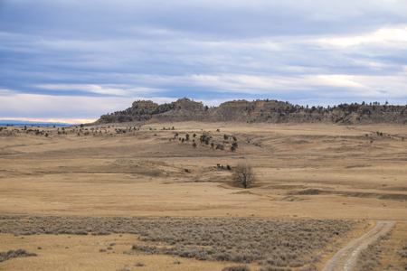 Montana Cattle & Recreational Ranch - image 32