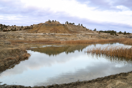 Montana Cattle & Recreational Ranch - image 5