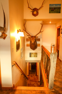 Montana Cattle & Recreational Ranch - image 43