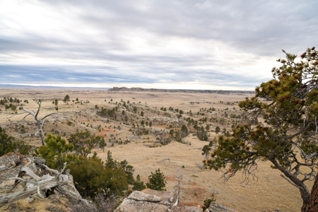 Montana Cattle & Recreational Ranch - image 38