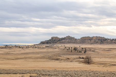 Montana Cattle & Recreational Ranch - image 8