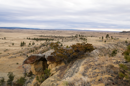 Montana Cattle & Recreational Ranch - image 15