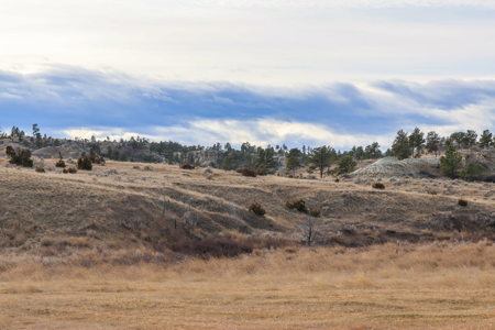 Montana Cattle & Recreational Ranch - image 17