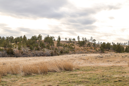 Montana Cattle & Recreational Ranch - image 40