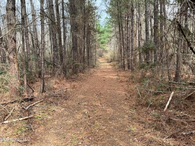 171 Acres with Two Ponds Berwick Cassels Road Amite County MS - image 4
