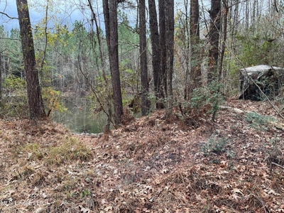 171 Acres with Two Ponds Berwick Cassels Road Amite County MS - image 1