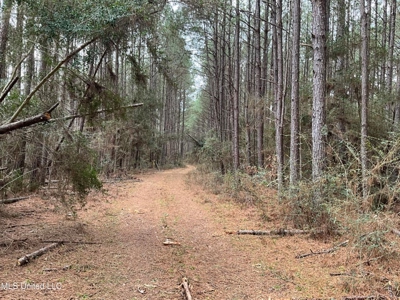 171 Acres with Two Ponds Berwick Cassels Road Amite County MS - image 11