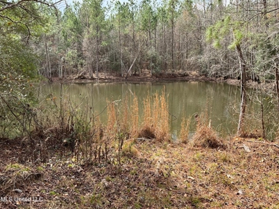 171 Acres with Two Ponds Berwick Cassels Road Amite County MS - image 3