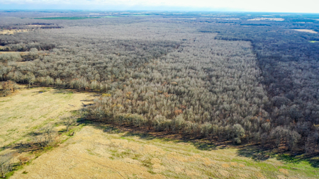 Recreational & Hunting Property in Lamar and Red River County, TX - image 28