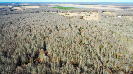Recreational & Hunting Property in Lamar and Red River County, TX - image 19