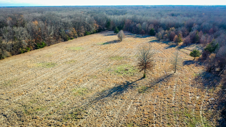 Recreational & Hunting Property in Lamar and Red River County, TX - image 12