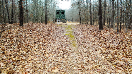 Recreational & Hunting Property in Lamar and Red River County, TX - image 36