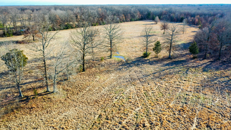 Recreational & Hunting Property in Lamar and Red River County, TX - image 11