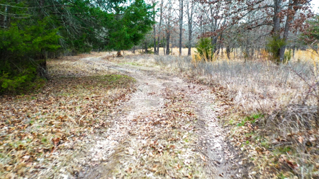 Recreational & Hunting Property in Lamar and Red River County, TX - image 33