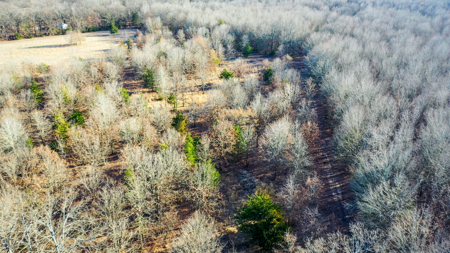 Recreational & Hunting Property in Lamar and Red River County, TX - image 8
