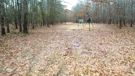Recreational & Hunting Property in Lamar and Red River County, TX - image 41