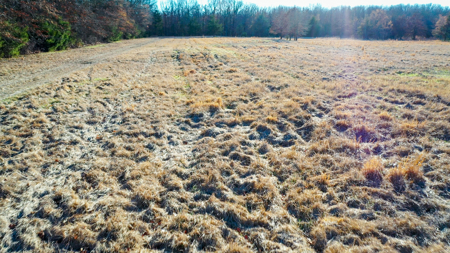 Recreational & Hunting Property in Lamar and Red River County, TX - image 3