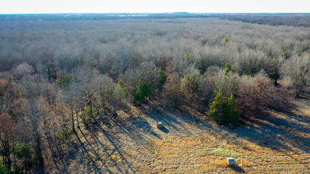 Recreational & Hunting Property in Lamar and Red River County, TX - image 16